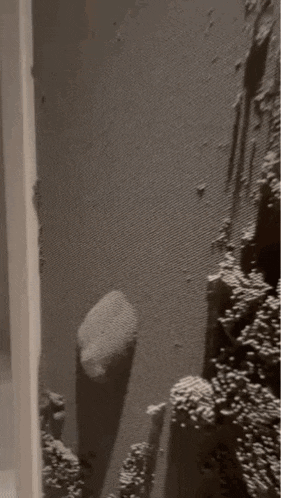 a black and white photo of a painting on a wall