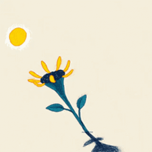 Sun Flower GIF - Sun Flower GIFs