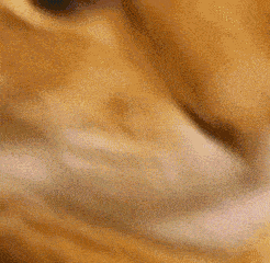 a close up of a cat 's face with headphones on it