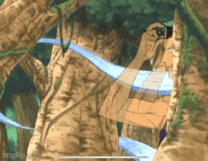 a picture of a person holding a camera in a forest with imgflip.com in the corner