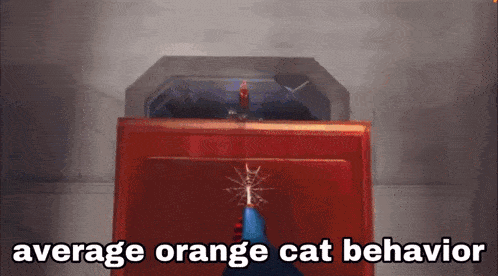 Orange Cat Across The Spiderverse GIF - Orange Cat Across The Spiderverse Spider-man GIFs