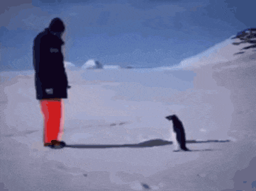 a man in a black jacket stands next to a penguin