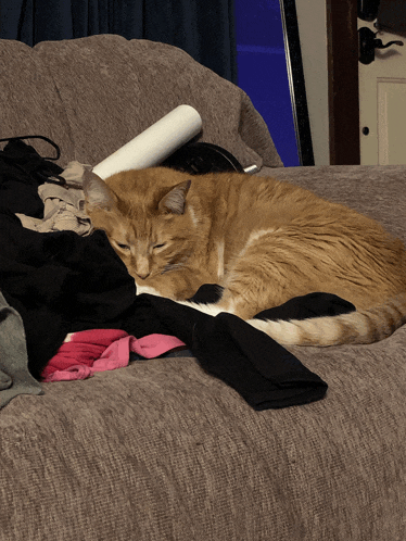 a cat is sleeping on a couch with clothes