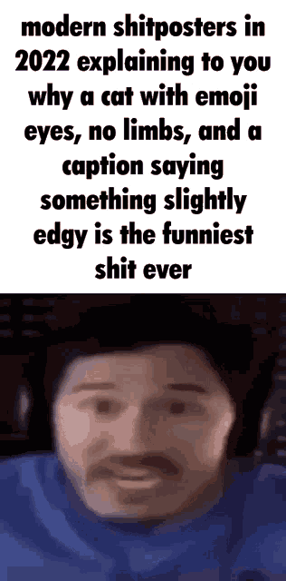 modern shitposters in 2022 explaining to you why a cat with emoji eyes , no limbs