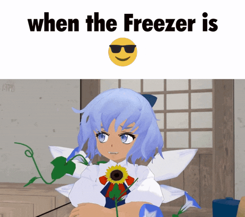 a picture of a girl holding a flower and the words when the freezer is