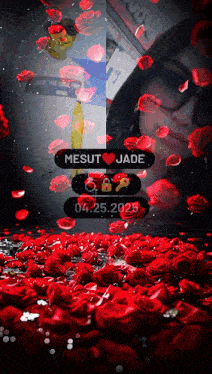 a picture of mesut and jade surrounded by red roses and petals
