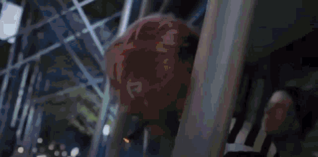a skull is holding a green light in front of it .