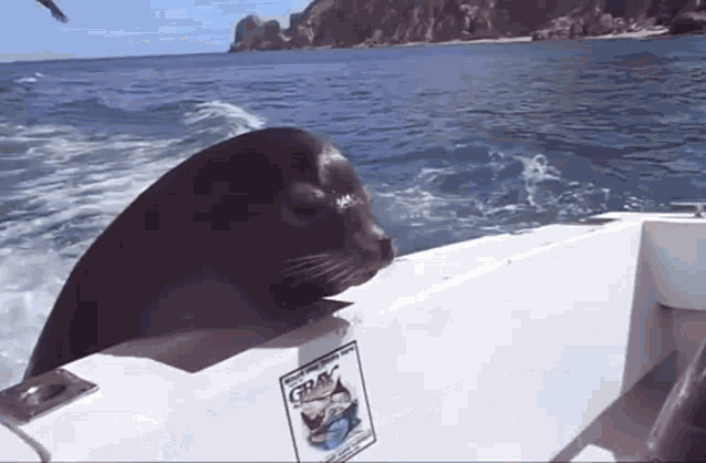 Seal Boat GIF