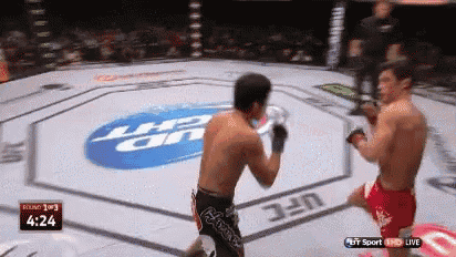 two men are fighting in a boxing ring with the ufc logo in the background