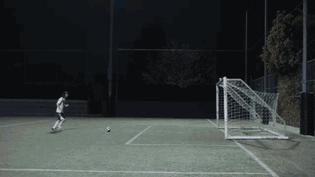 a person kicking a soccer ball into a goal