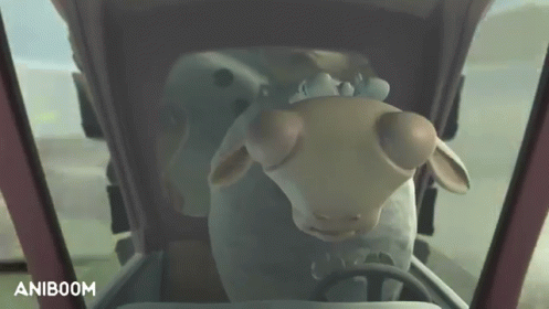 Driving Sheep GIF - Holy Sheep Driving Aniboom GIFs