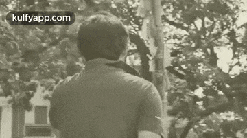 a man is standing in front of a window looking out at a tree .