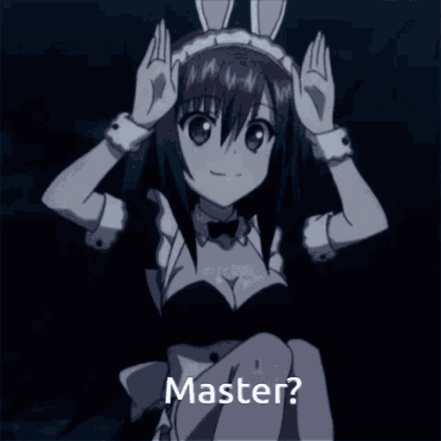 a girl with bunny ears on her head is asking " master "