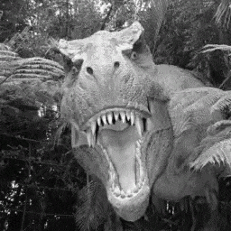 a black and white photo of a t-rex dinosaur with its mouth open .