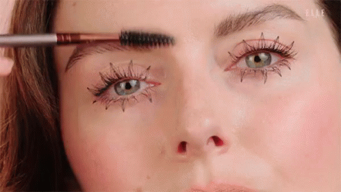 Brush Eyebrows GIF - Eyebrows Inverted Eyelashes Eyelashes GIFs