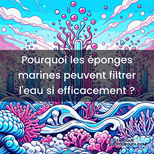 a colorful illustration with the words " pourquoi les esponges marines peuvent filtrer l' eau si efficacement "