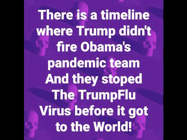 there is a timeline where trump did n't fire obama 's pandemic team and they stopped the trump flu