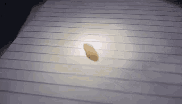 a piece of paper laying on a table with a light shining on it