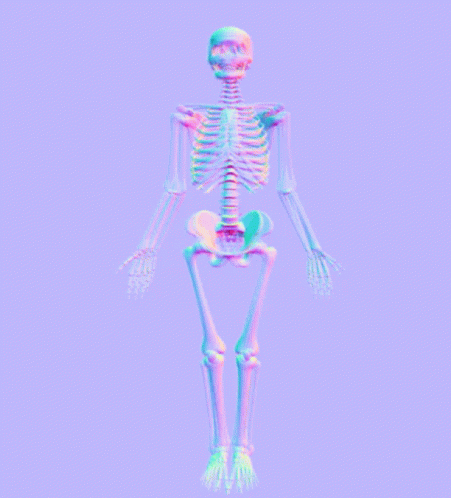 Anatomy Skeletal GIF - Anatomy Skeletal Skeleton GIFs