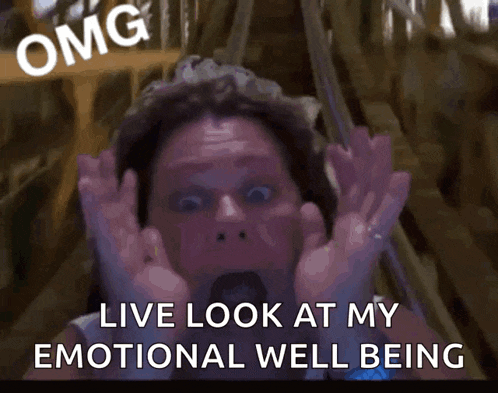 a man on a roller coaster with the words " live look at my emotional well being " on the bottom