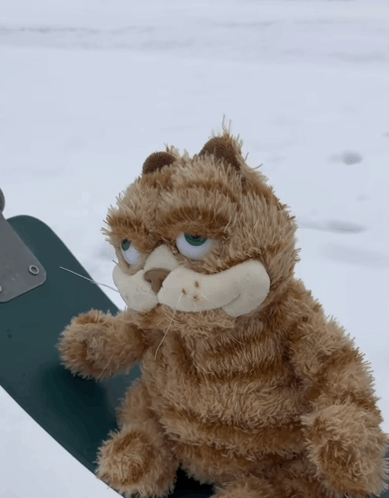 a stuffed cat is sitting on a green surface