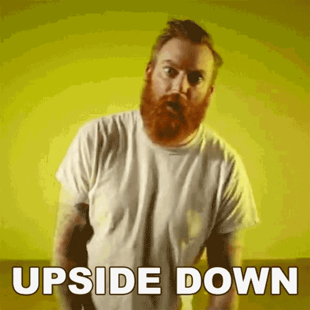 Upside Down Alan Day GIF - Upside Down Alan Day Four Year Strong GIFs