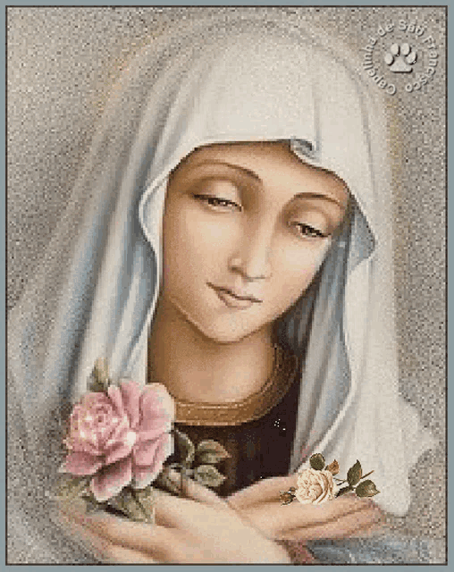 a woman in a white veil is holding a pink rose in her hands .