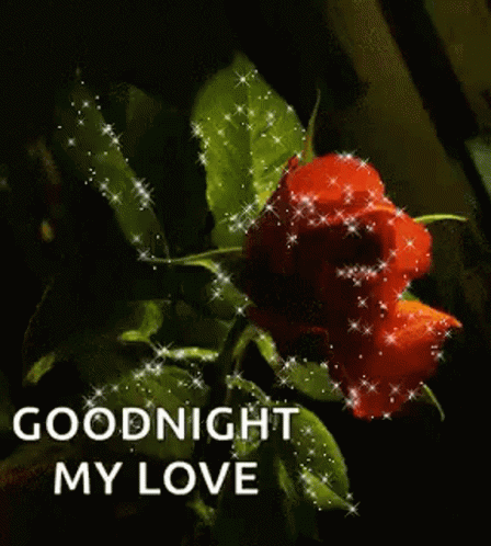 Goodnight Red Roses GIF - Goodnight Red Roses Sparkles GIFs