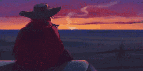 a man in a cowboy hat looks at the sunset over the ocean