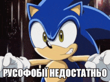 a cartoon of sonic the hedgehog with a caption that says " pycofobii nedoctathbo "