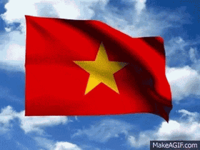 a red flag with a yellow star on it