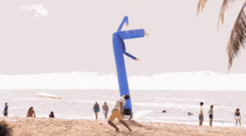 Windsock Lets Party GIF - Windsock Lets Party Beach GIFs