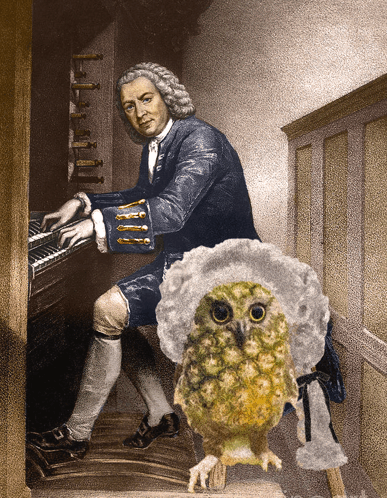 Bach Pineowl GIF - Bach Pineowl Pineapple Owl GIFs