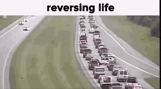 Reverse Life GIF - Reverse Life Meme GIFs