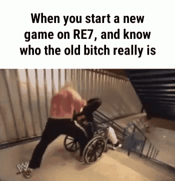 a man is pushing a woman in a wheelchair down stairs .