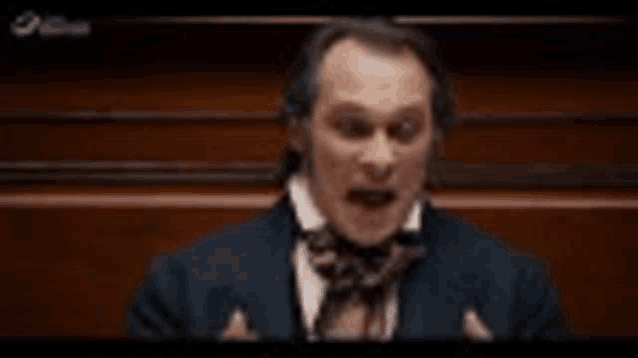 a man in a suit and bow tie is giving a speech in a parliament .