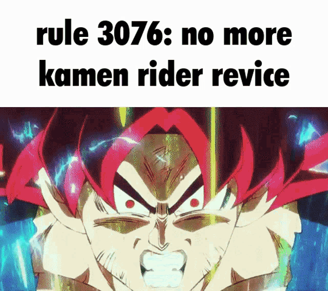 No More Kamen Rider Revice GIF - No More Kamen Rider Revice Revice GIFs