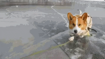 Slipping On Ice Cold Outside GIF - Slipping On Ice Cold Outside Ice Storm GIFs