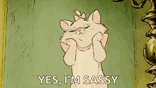 a cartoon cat is making a face and saying `` yes , i 'm sassy '' in front of a mirror .