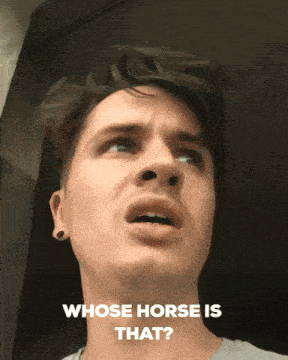 Whose Horse GIF - Whose Horse Dat GIFs
