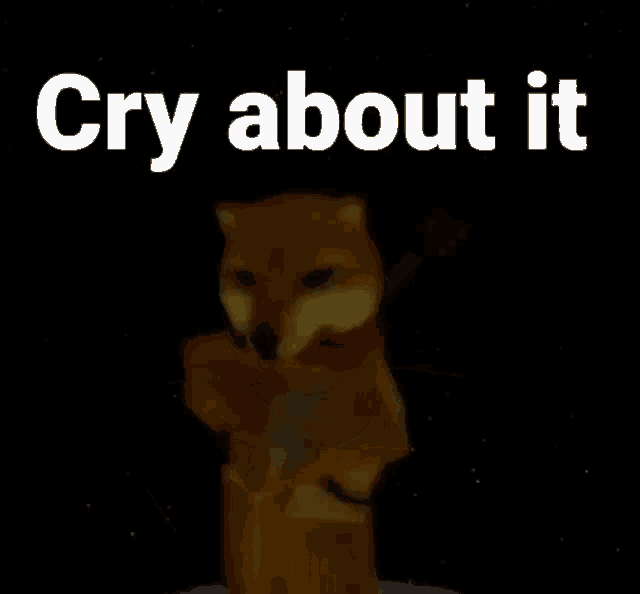 a picture of a dog with a scarf around its neck and the words cry about it below it