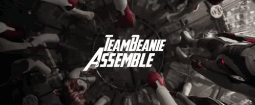Team Beanie Assemble GIF - Team Beanie Assemble Team Beanie GIFs