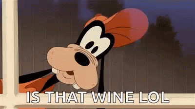 Goofy Wine GIF - Goofy Wine Is That Wine Lol GIFs