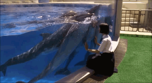 Dolphins Rena Komine GIF - Dolphins Rena Komine August In The Water GIFs