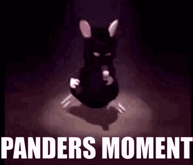Panders Panders Moment GIF