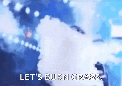 a blurred image of a person smoking a cigarette with the words `` let 's burn grass '' .