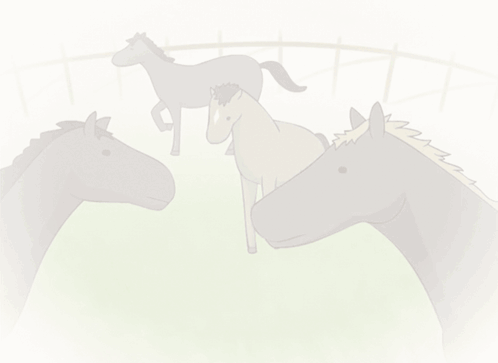 Horse Horse Anime GIF - Horse Horse Anime Anime Horse GIFs