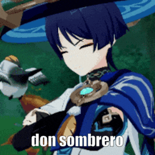 a cartoon character is holding a bird and says don sombrero on the bottom .