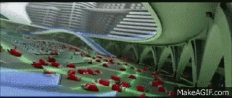 a group of people are sitting in a large room with a lot of red roses on the floor .