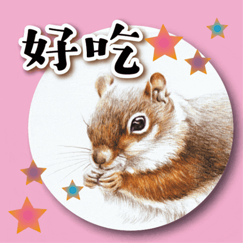 a picture of a squirrel on a pink background with chinese characters